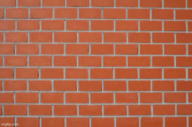 brick wall | image tagged in brick wall | made w/ Imgflip meme maker