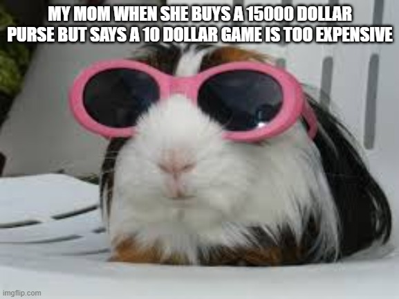 Funny animals | MY MOM WHEN SHE BUYS A 15000 DOLLAR PURSE BUT SAYS A 10 DOLLAR GAME IS TOO EXPENSIVE | image tagged in funny animals | made w/ Imgflip meme maker
