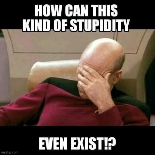 Capt. Picard & Stupifity | image tagged in captain picard facepalm,stupidity | made w/ Imgflip meme maker