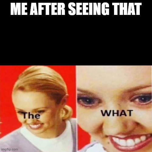 The What | ME AFTER SEEING THAT | image tagged in the what | made w/ Imgflip meme maker