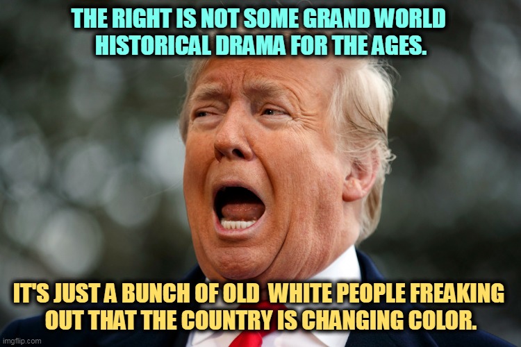 America has always changed. It's changing again. | THE RIGHT IS NOT SOME GRAND WORLD 
HISTORICAL DRAMA FOR THE AGES. IT'S JUST A BUNCH OF OLD  WHITE PEOPLE FREAKING 
OUT THAT THE COUNTRY IS CHANGING COLOR. | image tagged in trump afraid screaming in fear,america,change,colors,i am inevitable | made w/ Imgflip meme maker