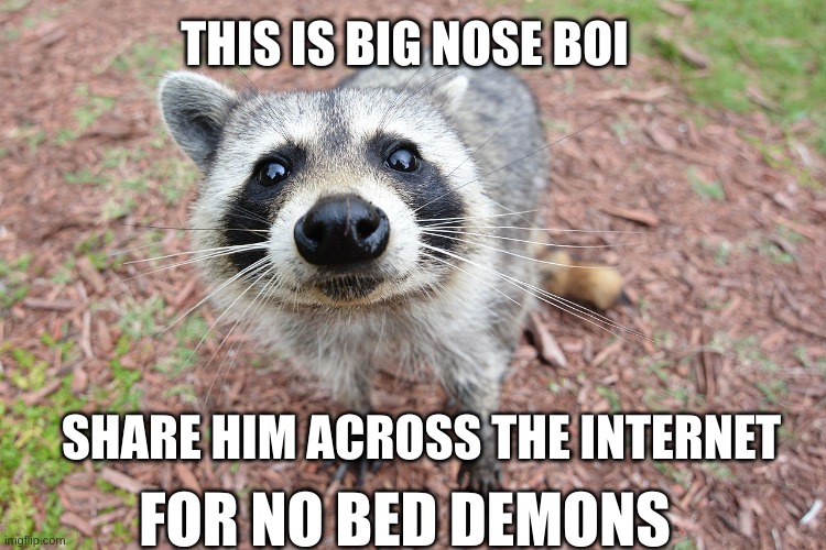 big nose boi!! | THIS IS BIG NOSE BOI; SHARE HIM ACROSS THE INTERNET; FOR NO BED DEMONS | image tagged in demon,nose,raccoon | made w/ Imgflip meme maker