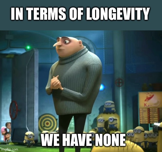 Long life? | IN TERMS OF LONGEVITY; WE HAVE NONE | image tagged in in terms of money we have no money,longevity,life,death,doom | made w/ Imgflip meme maker