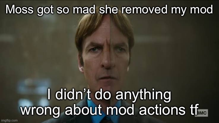 (Got disapproved in tgm stream so posting there) | Moss got so mad she removed my mod; I didn’t do anything wrong about mod actions tf | image tagged in saul mirrorman | made w/ Imgflip meme maker