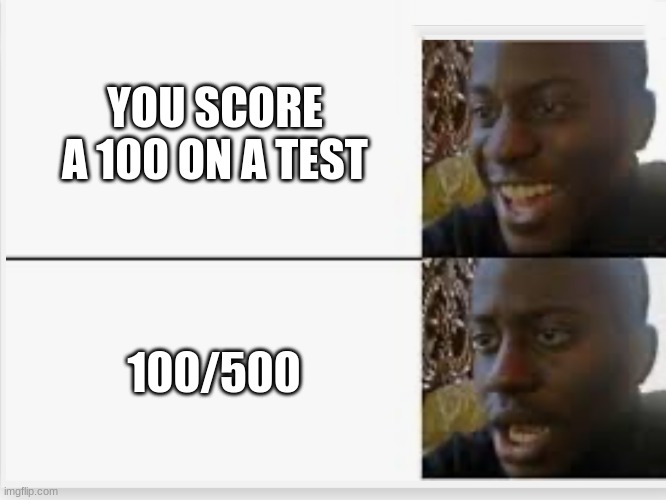 Happy then sad | YOU SCORE A 100 ON A TEST; 100/500 | image tagged in happy then sad | made w/ Imgflip meme maker
