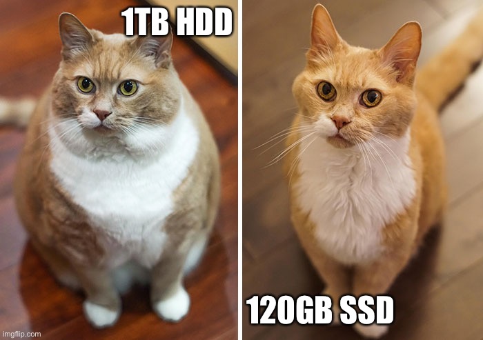Mechanical Hard Disk Drive or SSD | 1TB HDD; 120GB SSD | image tagged in technology | made w/ Imgflip meme maker