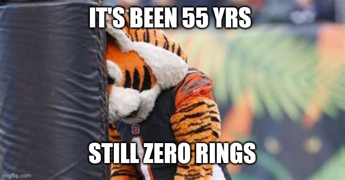 Bengals | IT'S BEEN 55 YRS; STILL ZERO RINGS | image tagged in sports | made w/ Imgflip meme maker