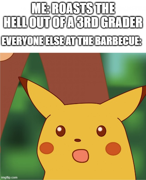barbecue | ME: ROASTS THE HELL OUT OF A 3RD GRADER; EVERYONE ELSE AT THE BARBECUE: | image tagged in random | made w/ Imgflip meme maker