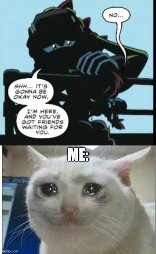 Ugly crying ensued | ME: | image tagged in crying cat | made w/ Imgflip meme maker