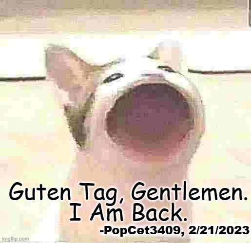 I Have Returned To This World. No, Not As A Furry. I Wouldn't DARE. | Guten Tag, Gentlemen. I Am Back. -PopCet3409, 2/21/2023 | image tagged in return | made w/ Imgflip meme maker