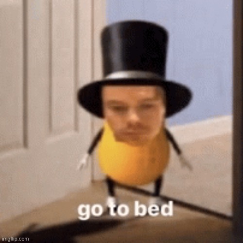 I need me some sleep for the big day today | image tagged in go to bed | made w/ Imgflip meme maker