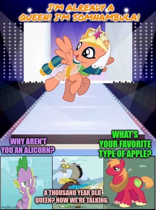 Princess tryouts | I'M ALREADY A QUEEN! I'M SOMNAMBULA! WHY AREN'T YOU AN ALICORN? WHAT'S YOUR FAVORITE TYPE OF APPLE? A THOUSAND YEAR OLD QUEEN? NOW WE'RE TALKING. | image tagged in princess,try outs,mlp,somnambula | made w/ Imgflip meme maker