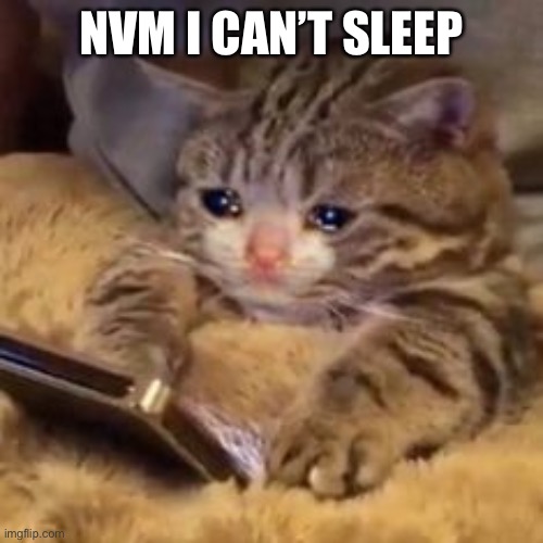 Crying cat on phone | NVM I CAN’T SLEEP | made w/ Imgflip meme maker