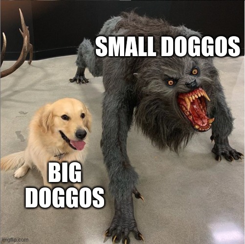 dog vs werewolf | SMALL DOGGOS; BIG DOGGOS | image tagged in dog vs werewolf,doggo,doggos,thicc doggo | made w/ Imgflip meme maker