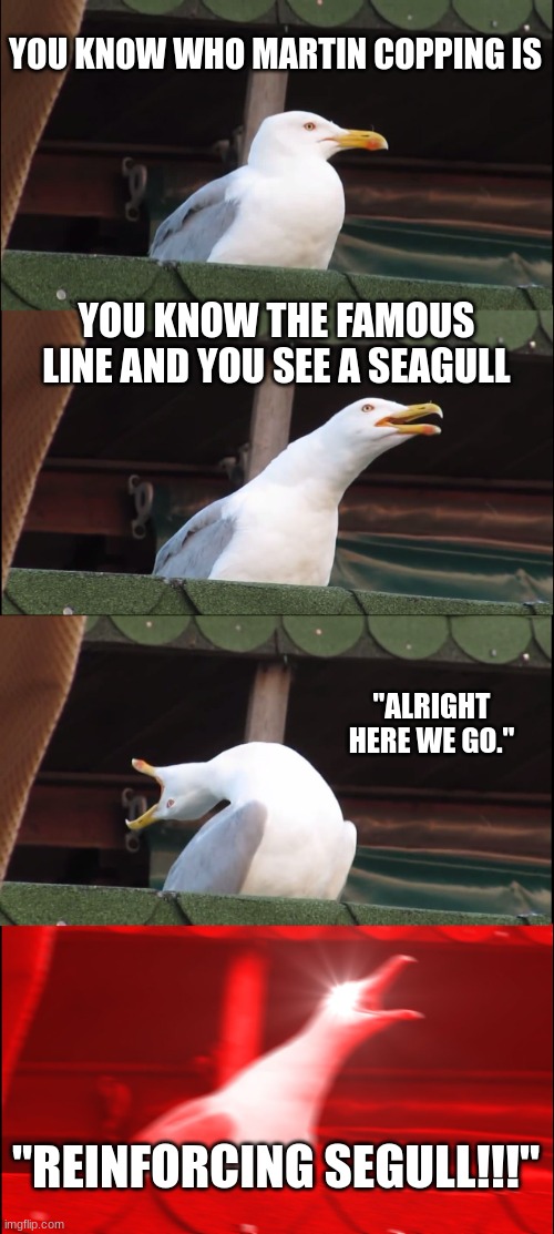 R6S Be Like: | YOU KNOW WHO MARTIN COPPING IS; YOU KNOW THE FAMOUS LINE AND YOU SEE A SEAGULL; "ALRIGHT HERE WE GO."; "REINFORCING SEGULL!!!" | image tagged in memes,inhaling seagull,r6s,martin copping | made w/ Imgflip meme maker