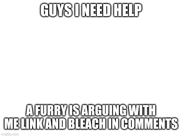 Please feature | GUYS I NEED HELP; A FURRY IS ARGUING WITH ME LINK AND BLEACH IN COMMENTS | made w/ Imgflip meme maker