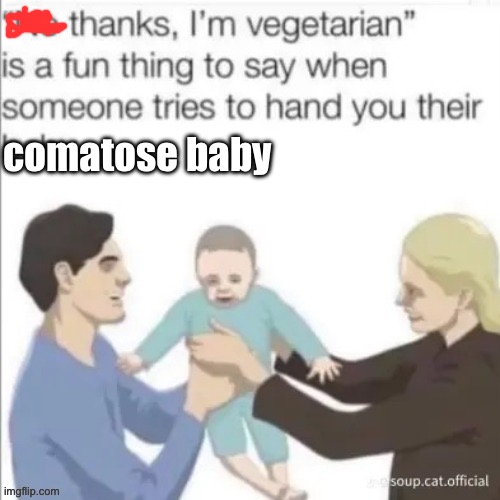 Coma baby | comatose baby | image tagged in vegetarian,baby,coma | made w/ Imgflip meme maker
