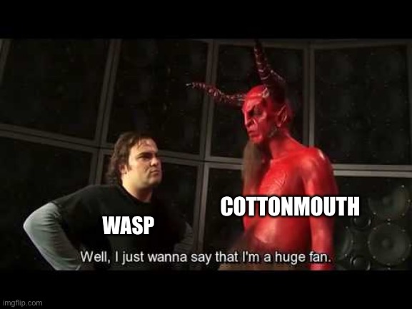 No title cuz I don’t wanna think of one | COTTONMOUTH; WASP | image tagged in i just wanna say that i'm a huge fan,wings of fire,wof,dragons,books | made w/ Imgflip meme maker