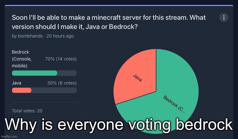 Why is everyone voting bedrock | made w/ Imgflip meme maker