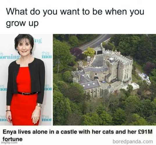 image tagged in castle,cats,money | made w/ Imgflip meme maker