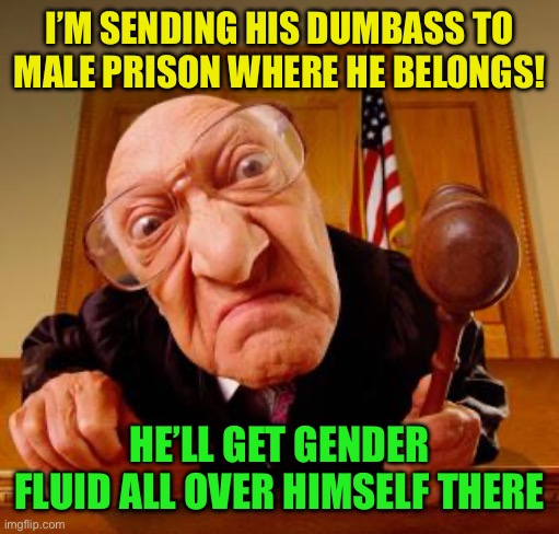 Mean Judge | I’M SENDING HIS DUMBASS TO MALE PRISON WHERE HE BELONGS! HE’LL GET GENDER FLUID ALL OVER HIMSELF THERE | image tagged in mean judge | made w/ Imgflip meme maker