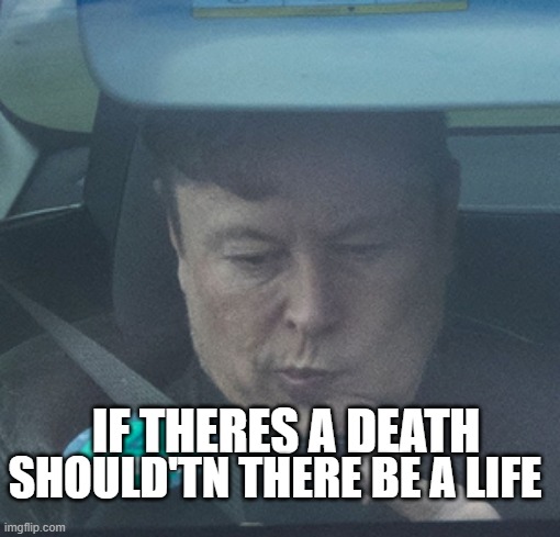 twatter | SHOULD'TN THERE BE A LIFE; IF THERES A DEATH | image tagged in twatter | made w/ Imgflip meme maker
