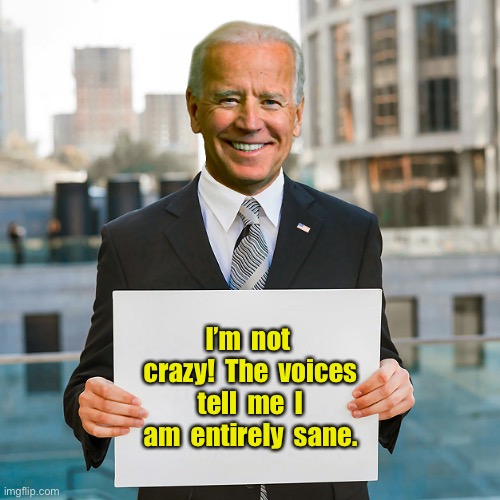 Big Joe, not crazy | I’m  not  crazy!  The  voices  tell  me  I  am  entirely  sane. | image tagged in joe biden blank sign,not crazy,voices tell me,in brain,sane | made w/ Imgflip meme maker