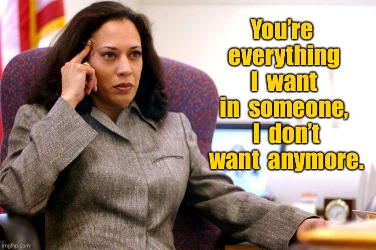 Kamala Harris | You’re  everything  I  want  in  someone,  I  don’t  want  anymore. | image tagged in the kamala's plan,everything i want,that i do not want,anymore,politics | made w/ Imgflip meme maker