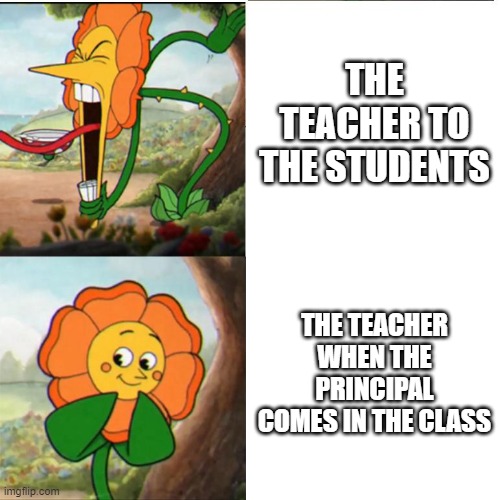 some teachers be like: | THE TEACHER TO THE STUDENTS; THE TEACHER WHEN THE PRINCIPAL COMES IN THE CLASS | image tagged in cuphead flower | made w/ Imgflip meme maker