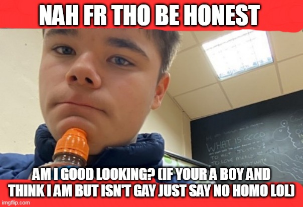 NAH FR THO BE HONEST; AM I GOOD LOOKING? (IF YOUR A BOY AND THINK I AM BUT ISN'T GAY JUST SAY NO HOMO LOL) | made w/ Imgflip meme maker