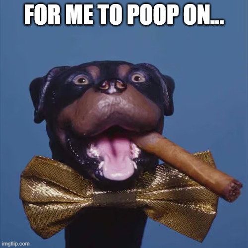 For me to poop on | FOR ME TO POOP ON... | image tagged in conan o'brien,triumph the insult comic dog,triumph,conan,late night | made w/ Imgflip meme maker