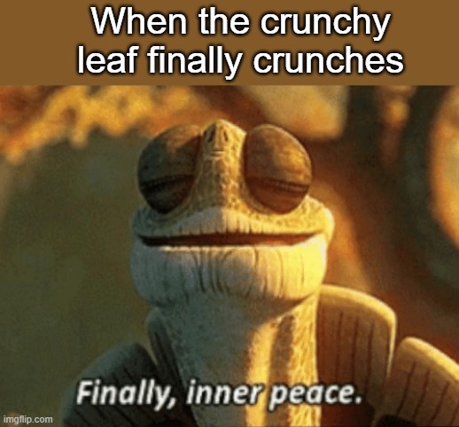 This is definitely true | When the crunchy leaf finally crunches | image tagged in finally inner peace | made w/ Imgflip meme maker