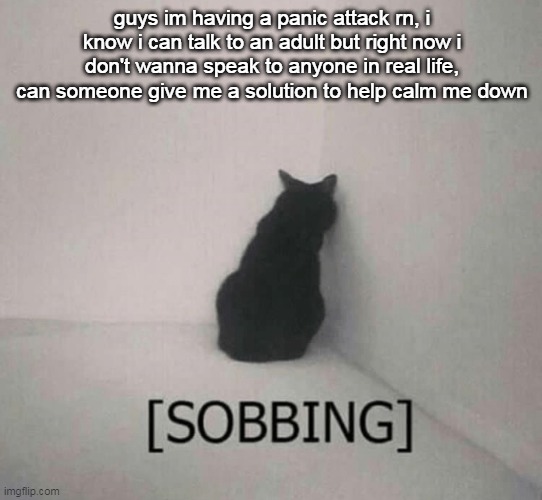 Sobbing cat | guys im having a panic attack rn, i know i can talk to an adult but right now i don't wanna speak to anyone in real life, can someone give me a solution to help calm me down | image tagged in sobbing cat | made w/ Imgflip meme maker