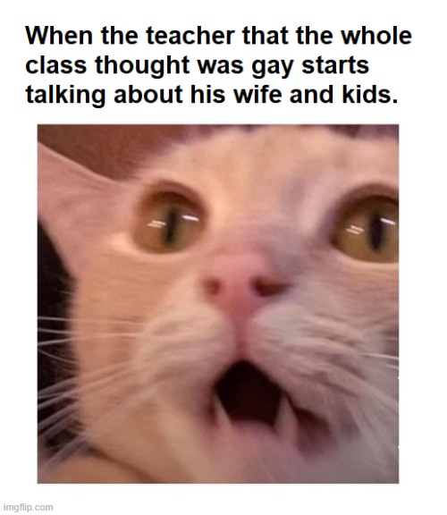 Didn't Expect That | image tagged in teacher,class,repost,cats,memes,funny | made w/ Imgflip meme maker