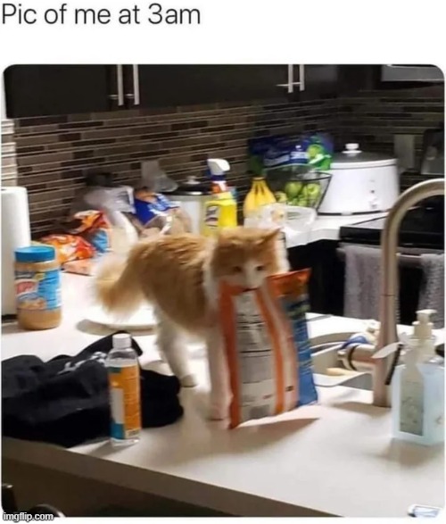 Just a lil snack | image tagged in repost,3 am,relatable,relatable memes,funny,memes | made w/ Imgflip meme maker