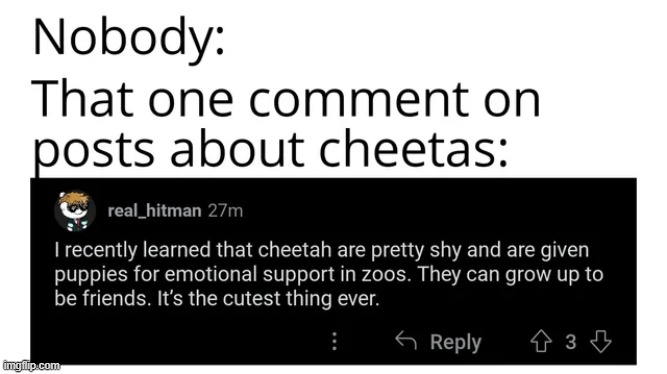 Always the same comment | image tagged in repost,comment,cheetah,reddit,memes,funny | made w/ Imgflip meme maker