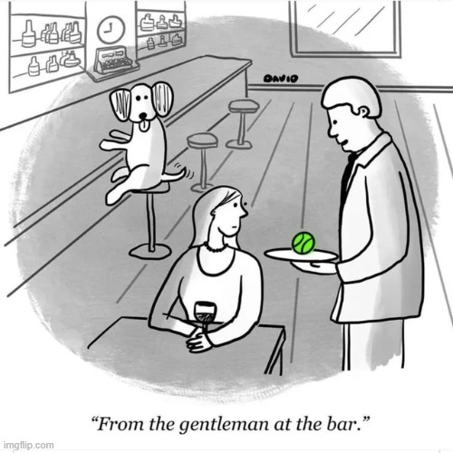 From the gentleman at the bar | image tagged in wholesome,bar,comics,memes,wholesome content,comics/cartoons | made w/ Imgflip meme maker