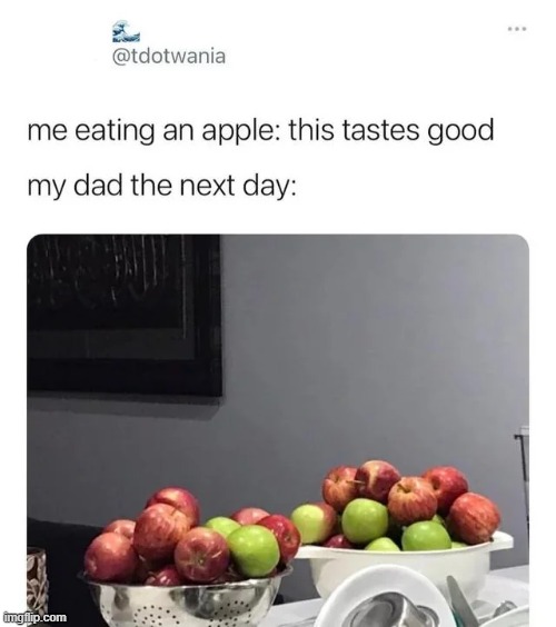 Can't deny this can ya? | image tagged in wholesome,wholesome content,dad,apple,memes,funny | made w/ Imgflip meme maker