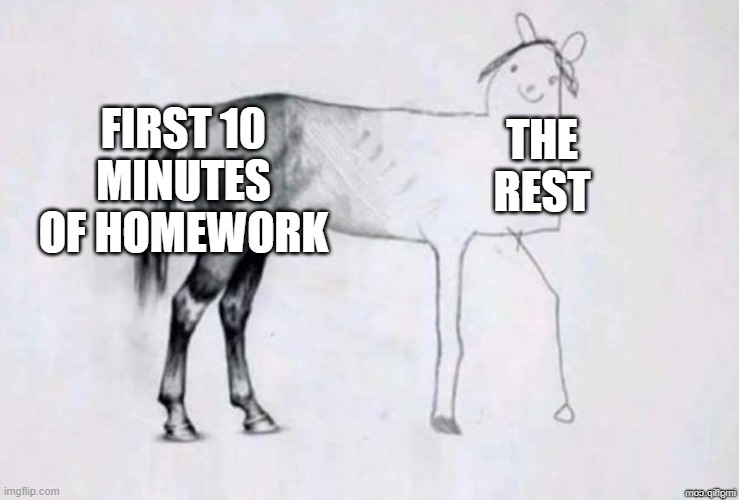 Horse Drawing | FIRST 10 MINUTES OF HOMEWORK; THE REST | image tagged in horse drawing | made w/ Imgflip meme maker