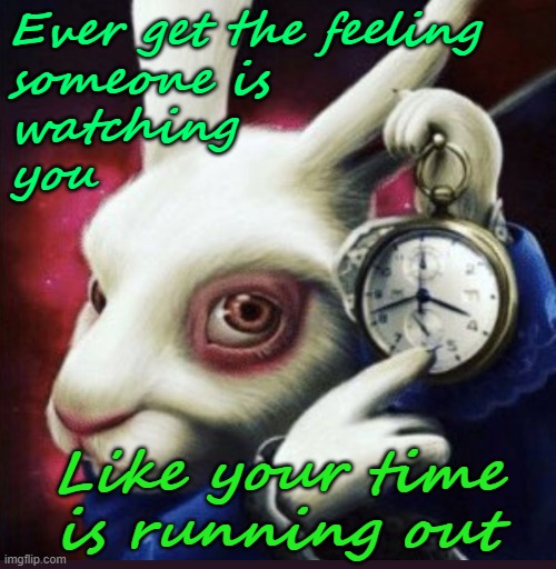 Ever get the feeling
someone is 
watching
you; Like your time is running out | image tagged in time,rabbit | made w/ Imgflip meme maker