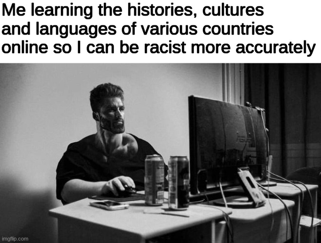 Image Title |  Me learning the histories, cultures and languages of various countries online so I can be racist more accurately | image tagged in gigachad on the computer | made w/ Imgflip meme maker