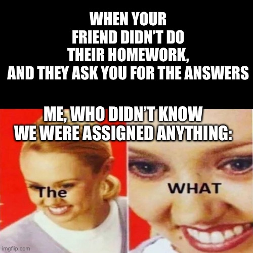 The What | WHEN YOUR FRIEND DIDN’T DO THEIR HOMEWORK, AND THEY ASK YOU FOR THE ANSWERS; ME, WHO DIDN’T KNOW WE WERE ASSIGNED ANYTHING: | image tagged in the what | made w/ Imgflip meme maker