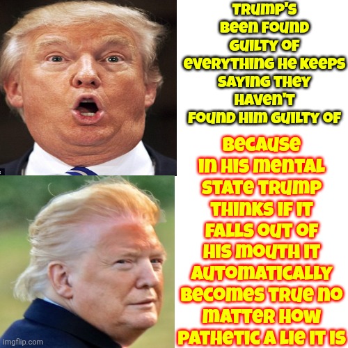 I'd Be Embarrassed If I Had Ever Believed Him But I Didn't So I'm Not But You Should Be | Trump's been found guilty of everything he keeps saying they haven't found him guilty of; Because in his mental state trump thinks if it falls out of his mouth it automatically becomes true no matter how pathetic a lie it is | image tagged in embarrassment,humiliation,deplorable donald,disgusting,scumbag republicans,memes | made w/ Imgflip meme maker
