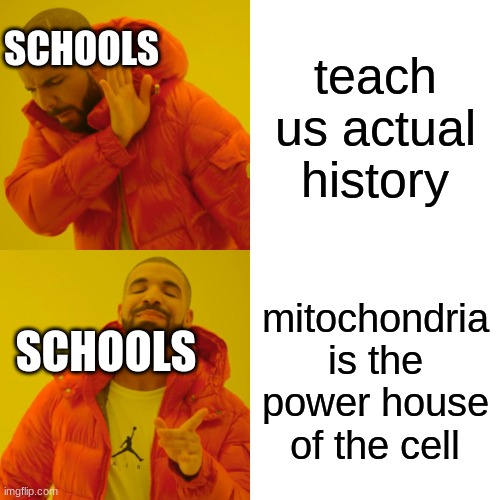Drake Hotline Bling Meme | SCHOOLS; teach us actual history; mitochondria is the power house of the cell; SCHOOLS | image tagged in memes,drake hotline bling | made w/ Imgflip meme maker