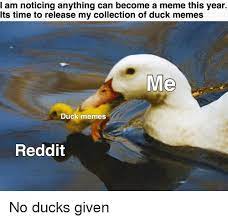 Duck:) Blank Meme Template