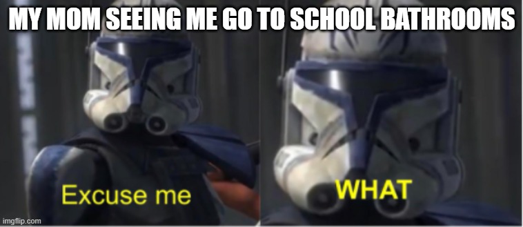 public deffinetly good | MY MOM SEEING ME GO TO SCHOOL BATHROOMS | image tagged in excuse me what | made w/ Imgflip meme maker