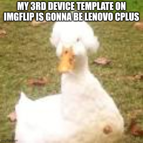 The royal duck | MY 3RD DEVICE TEMPLATE ON IMGFLIP IS GONNA BE LENOVO CPLUS | image tagged in the royal duck | made w/ Imgflip meme maker