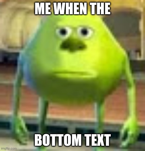 Bottom text | ME WHEN THE; BOTTOM TEXT | image tagged in sully wazowski | made w/ Imgflip meme maker