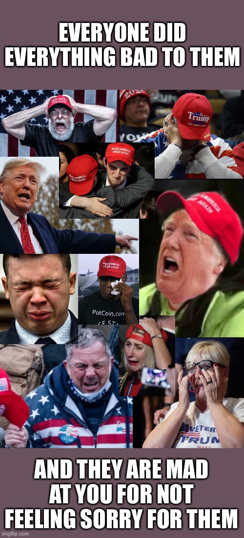 maga tears | EVERYONE DID EVERYTHING BAD TO THEM; AND THEY ARE MAD AT YOU FOR NOT FEELING SORRY FOR THEM | image tagged in maga tears | made w/ Imgflip meme maker