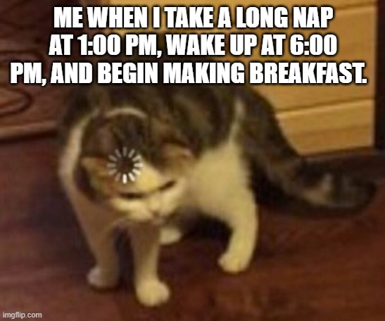 I'll tell you, it really does feel like morning when you wake up at 6:00 PM and its dark out. | ME WHEN I TAKE A LONG NAP AT 1:00 PM, WAKE UP AT 6:00 PM, AND BEGIN MAKING BREAKFAST. | image tagged in loading cat,cats,memes,morning,waking up,funny cats | made w/ Imgflip meme maker